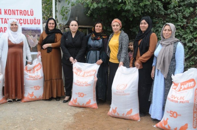 Cizre’de Vatandaşa 2 Bin Tavuk, 24 Bin Ton Yem Dağıtıldı