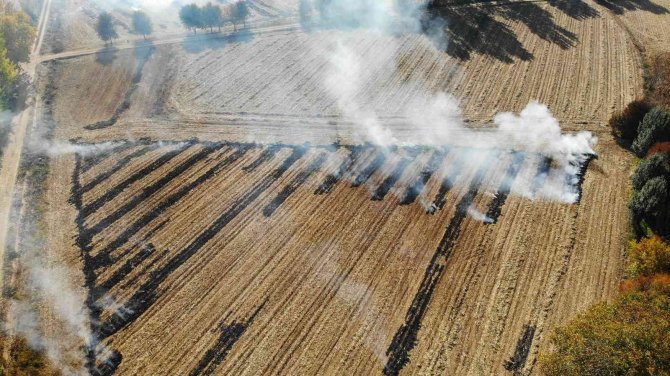 Mısır Hasadı Bitti, Anız Yangınları Başladı