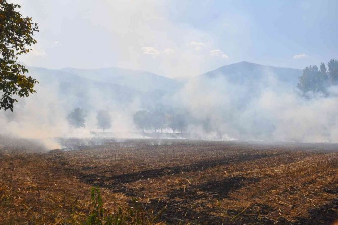 Mısır Hasadı Bitti, Anız Yangınları Başladı