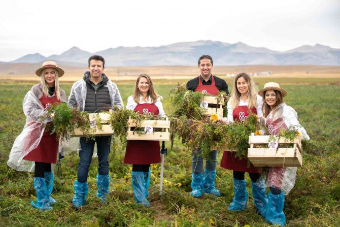 Şalgam Suyunun Yolculuğu, Konya’daki Mor Havuç Hasadı İle Başladı