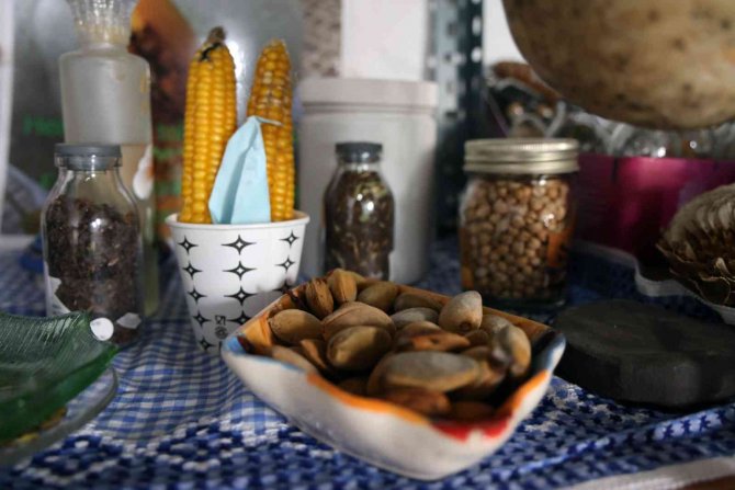 ‘Yerel Tohum Sokağı’ Filiz Vermeye Başladı