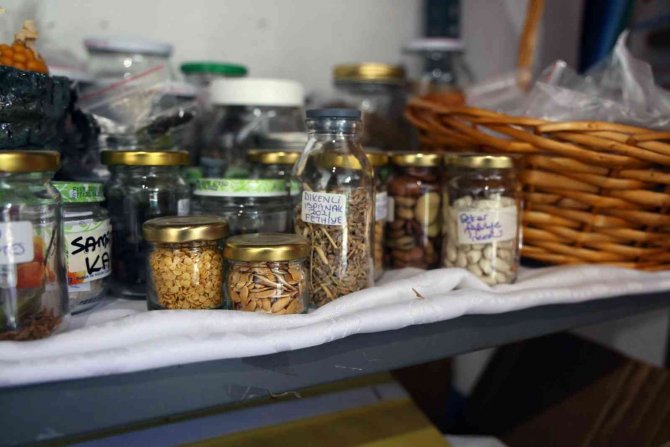 ‘Yerel Tohum Sokağı’ Filiz Vermeye Başladı