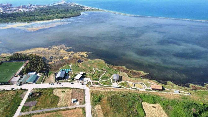 Hersek Lagünü Altınova’nın Yeni Turizm Noktası Oldu