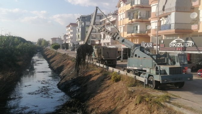 Balık Ölümleriyle Gündeme Gelen Kanal Temizleniyor
