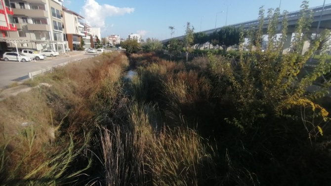 Balık Ölümleriyle Gündeme Gelen Kanal Temizleniyor