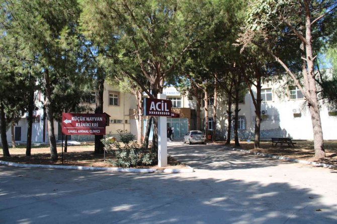 Adü Veteriner Fakültesi Hastanesi Yılda 7 Bin Hasta Hayvana Bakıyor