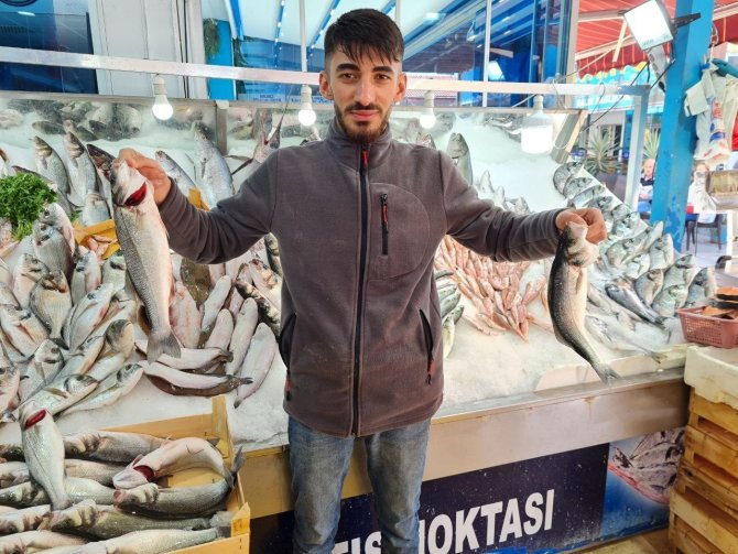 Aydın’da Balık Tezgahlarının Yıldızı Sardalya