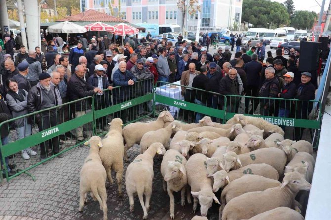 Büyükşehir Belediye Üreticiyi Desteklemeye Devam Ediyor