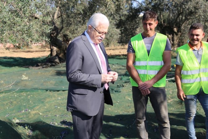 Burhaniye’de Başkan Deveciler Zeytin İşçileri İle Buluştu