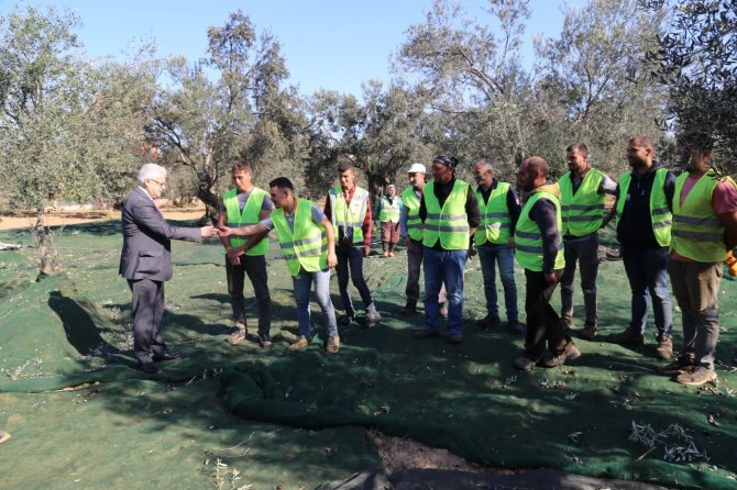 Burhaniye’de Başkan Deveciler Zeytin İşçileri İle Buluştu