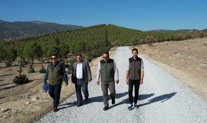 Fidanlar Ormana Döndü Geleceğe Nefes Oldu