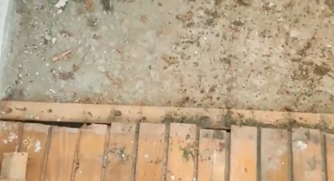 Ağaç Kovukları Ve Parkelerin Altına Uyuşturucu Gizlemişler