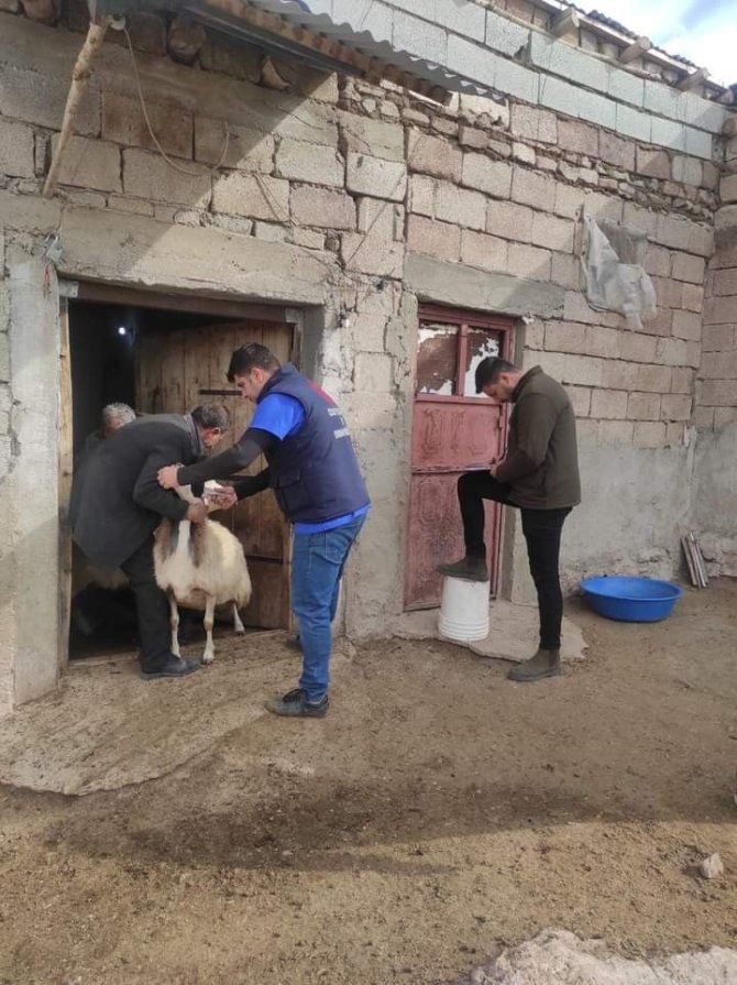 “Köyümde Yaşamak İ̇çin Bir Sürü Nedenim Var Projesi” Özalp’ta Yüzleri Güldürdü