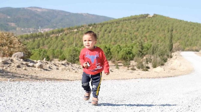 Fidanlar Ormana Döndü Geleceğe Nefes Oldu