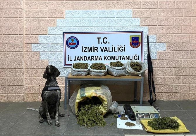 Ağaç Kovukları Ve Parkelerin Altına Uyuşturucu Gizlemişler