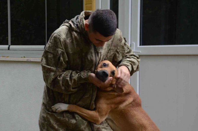 Fino İsimli Köpeğin Askerden Dönen Sahibini Karşılaması Duygulandırdı