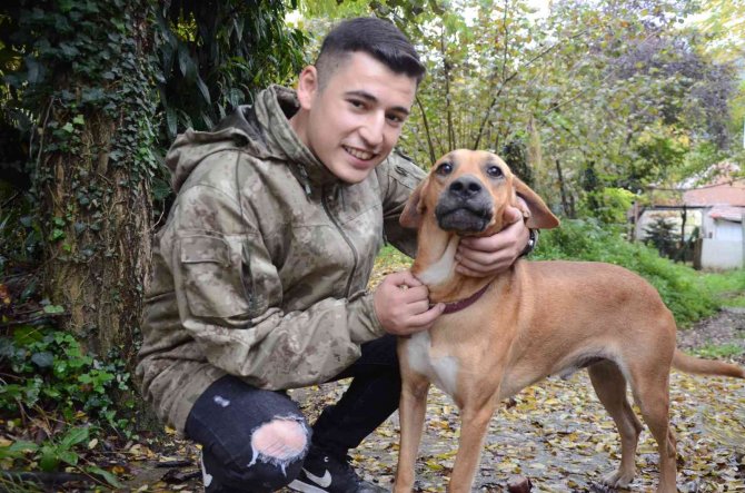 Fino İsimli Köpeğin Askerden Dönen Sahibini Karşılaması Duygulandırdı