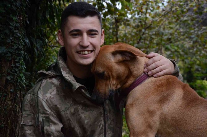 Fino İsimli Köpeğin Askerden Dönen Sahibini Karşılaması Duygulandırdı