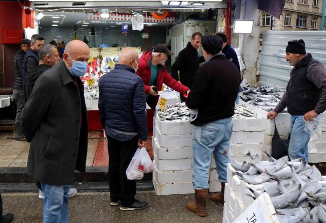 Palamuda Güle Güle, Çinekopa Merhaba