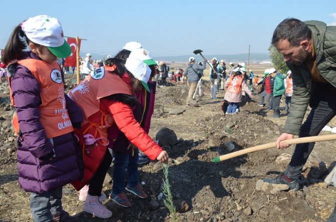 Kahramanmaraş’ta 10 Bin Fidan Toprakla Buluştu