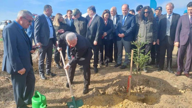 Tekirdağ’da 1 Yılda 693 Bin Fidan Dikilecek