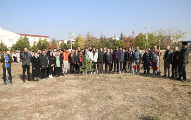 11 Kasım Milli Ağaçlandırma Günü’nde Fidanlar Erü’de Toprakla Buluştu