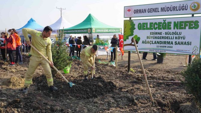 Edirne’de 8 Ayrı Noktada 32 Bin Fidan Toprakla Buluştu