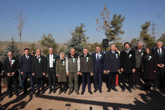 Cumhurbaşkanı Yardımcısı Oktay: “600 Milyon Fidanı Yıl Bitmeden Toprakla Buluşturmuş Olacağız”