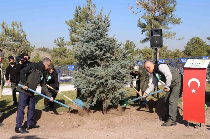 Cumhurbaşkanı Yardımcısı Oktay: “600 Milyon Fidanı Yıl Bitmeden Toprakla Buluşturmuş Olacağız”
