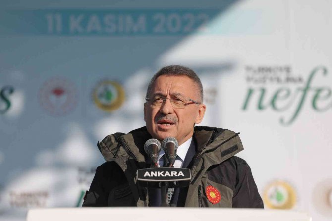 Cumhurbaşkanı Yardımcısı Oktay: “600 Milyon Fidanı Yıl Bitmeden Toprakla Buluşturmuş Olacağız”