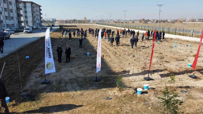 Bolvadin’de 600 Fidan Toprakla Buluştu