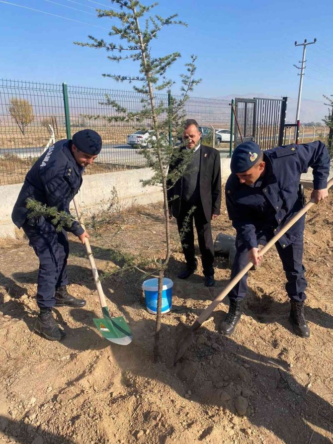 Bolvadin’de 600 Fidan Toprakla Buluştu