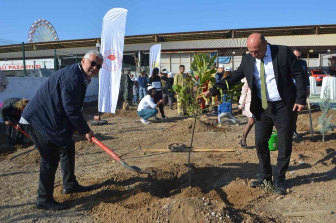 Ayvalık’ta 11 Kasım Saat 11.11’de Ağaçlandırma Coşkusu