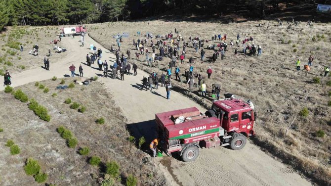 Kazdağları’nda Mili Ağaçlandırma Günü’nde Fidanlar Toprak İle Buluştu