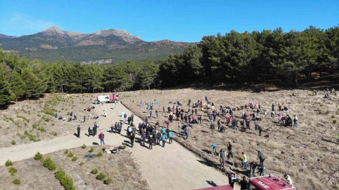 Kazdağları’nda Mili Ağaçlandırma Günü’nde Fidanlar Toprak İle Buluştu