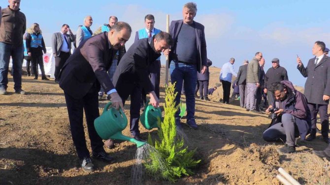 Bandırma’da 15 Bin Fidan Dikildi