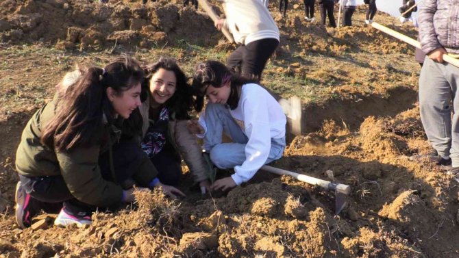 Bandırma’da 15 Bin Fidan Dikildi