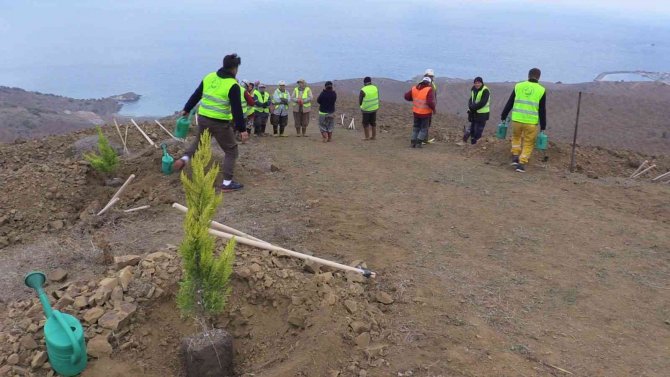 Bandırma’da 15 Bin Fidan Dikildi