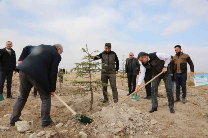 Çorum’da 29 Bin 500 Fidan Toprakla Buluştu