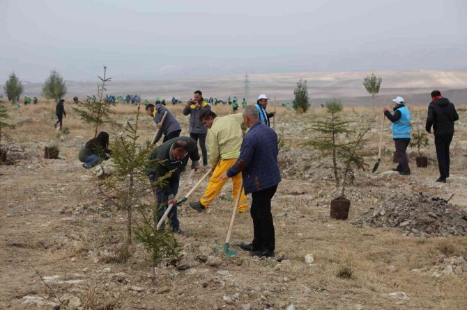 Çorum’da 29 Bin 500 Fidan Toprakla Buluştu