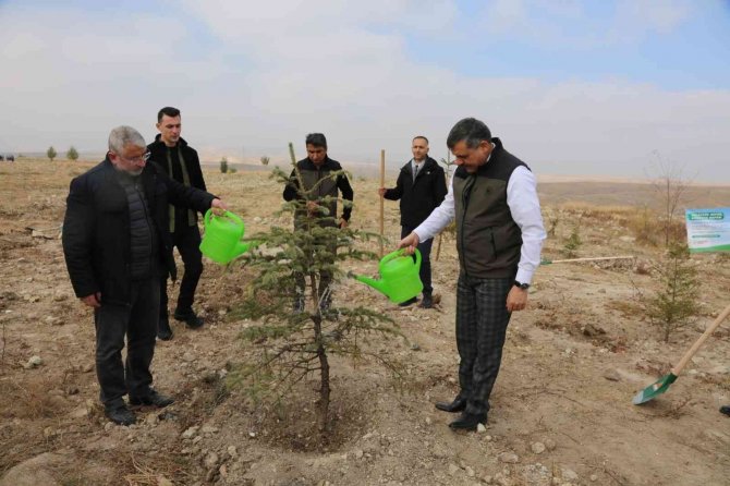 Çorum’da 29 Bin 500 Fidan Toprakla Buluştu