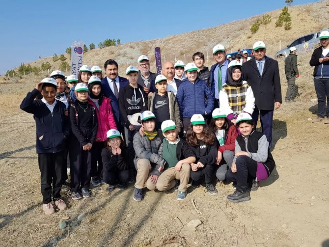 Bayat’ta Ağaçlandırma Seferberliği