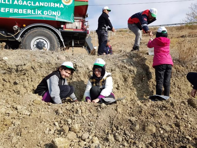 Bayat’ta Ağaçlandırma Seferberliği