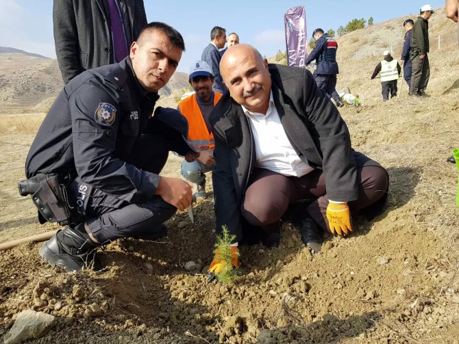 Bayat’ta Ağaçlandırma Seferberliği