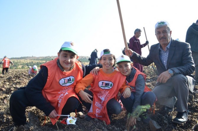 Kahramanmaraş’ta 10 Bin Fidan Toprakla Buluştu