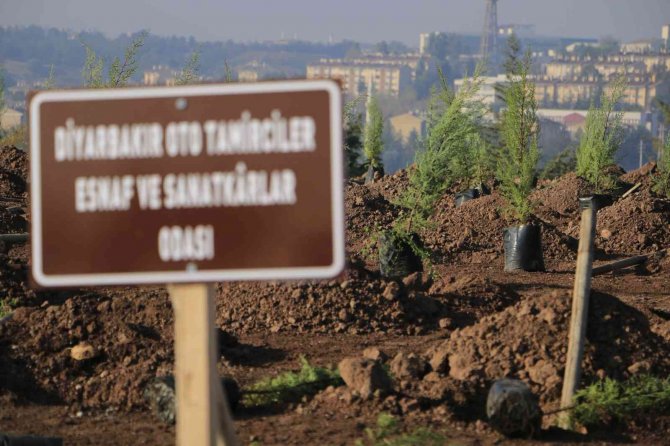 Yüzde 24’ü Ormanlık Olan Diyarbakır’a 4 Bin Yeni Fidan