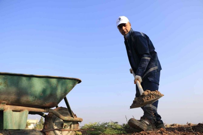 Yüzde 24’ü Ormanlık Olan Diyarbakır’a 4 Bin Yeni Fidan
