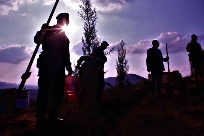 Elazığ’da Devlet Bahçeli Hatıra Ormanı Oluşturuldu