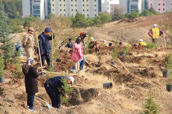 Elazığ’da Devlet Bahçeli Hatıra Ormanı Oluşturuldu