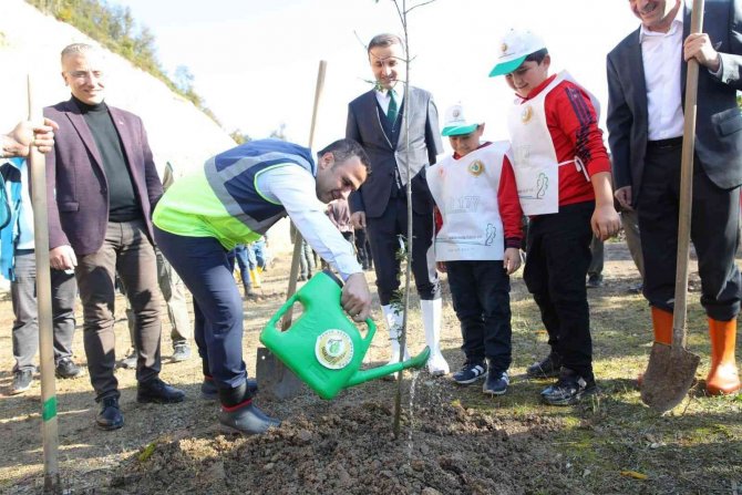 Fatsa’da Fidanlar Toprakla Buluştu